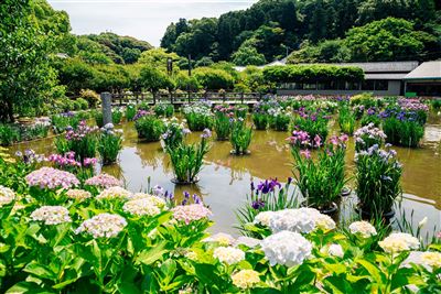 Dazaifu